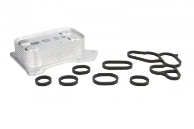 Termoflot Radiator Ulei (115x33x71; cu Garnitura) Alfa Romeo Mito; Chevrolet Aveo; Fiat Doblo, Doblo Cargo, Grande Punto, Idea, Linea, Punto Evo, Strada; Lancia Musa, Ypsilon 1.3d 1.4 Dupa 2005