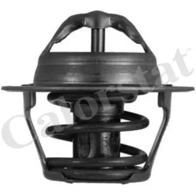 Termostat, lichid racire CALORSTAT by Vernet TH4898.87J