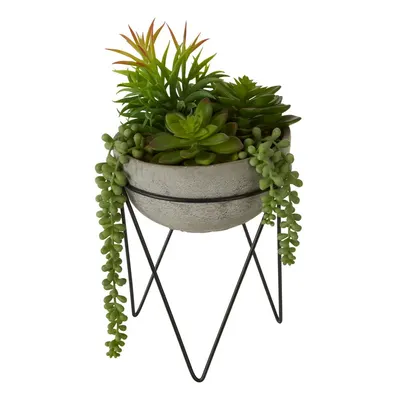 Suculentă artificială (înălțime 36 cm) Fiori – Premier Housewares
