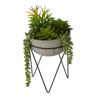 Suculentă artificială (înălțime 36 cm) Fiori – Premier Housewares