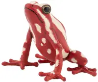 Figurină Papo Wild Animal Kingdom - Broască săgeată otrăvitoare