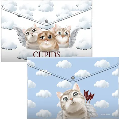 Set mape cu buton Erich Krause - Cupids, A4, 4 buc.
