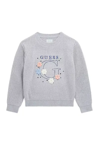 Pulover cu logo brodat - Gri deschis