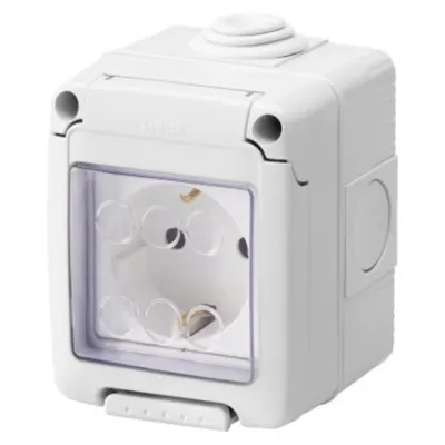 Watertight Enclosure Complete With System Devices - With Socket-Outlet 2p+e 16 a - German Standard - Ip55 - Grey Ral 7035