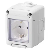 Watertight Enclosure Complete With System Devices - With Socket-Outlet 2p+e 16 a - German Standard - Ip55 - Grey Ral 7035