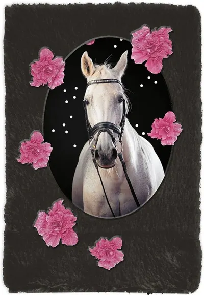 Jurnal de plus Paso Horse, A5, 80 pagini