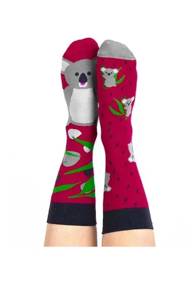 Sosete colorate Lala Koala - Roz zmeuriu