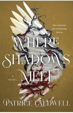 Where Shadows Meet