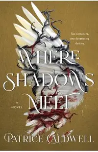Where Shadows Meet