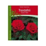 Trandafirii. Ingrijire si taiere