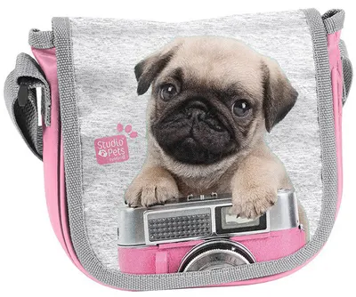 Geantă de umăr pentru copii Paso Studio Pets - Cu capac