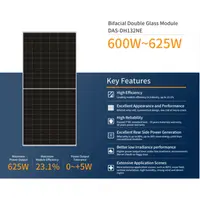 Panou fotovoltaic bifacial DAS Solar 615W N-Type TOPCon Double Glass