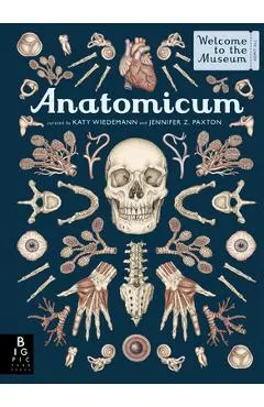 Anatomicum: Welcome to the Museum