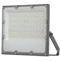 Proiector LED slim 50W, 5000K, 220-240V AC, IP65