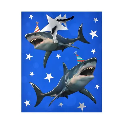 Punga Clairefontaine L SDE Shark