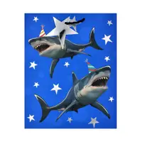 Punga Clairefontaine L SDE Shark