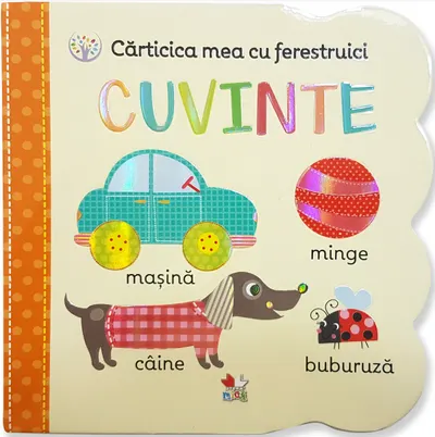 Cărticica mea cu ferestruici. Cuvinte