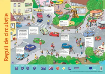 Planșă - Reguli de circulație - Paperback - Nelson Verlag