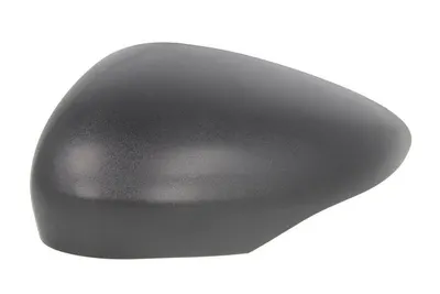 Carcasa oglinda Stanga potrivit FORD B-MAX, FIESTA, FIESTA V, FIESTA VI dupa 2002 - (negru)