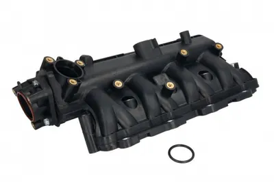 Modul Admisie Potrivit Fiat Doblo Minivan, Fiorino Minivan, Grande Punto, Panda, Punto, Punto Evo, Qubo; Lancia Ypsilon; Opel Corsa D 1.3d 10.05