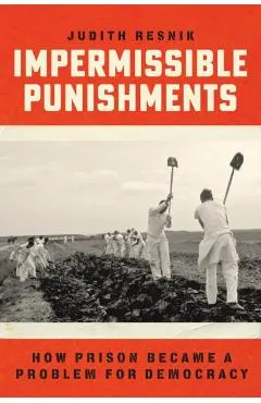 Impermissible Punishments: How Prison Became a Problem for Democracy