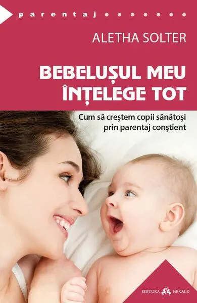 Bebelușul meu înțelege tot - Paperback brosat - Aletha Solter