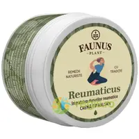 Crema Tip Balsam pentru Mobilitate Articulara Reumaticus 50ml