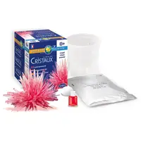 Kit educativ - Crystal Growing Kit - Red