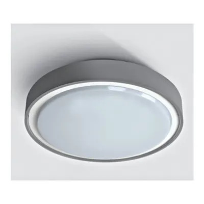 Berry LED 30W, 3000K, 1800lm, 230V, IP65, plastic, gri