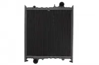Radiator motor (cu rama) potrivit FENDT 300 BF4M1012-TD226B-4 01.80-