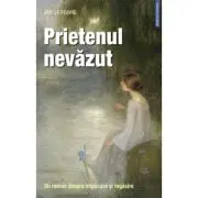 Prietenul nevazut. Un roman despre impacare si regasire