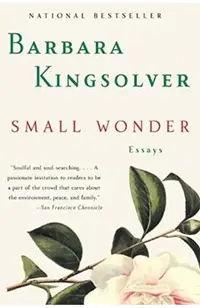 Small Wonder: Essays