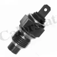Senzor temperatura lichid racire CALORSTAT by Vernet WS2504
