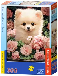 Puzzle Castorland din 300 piese - Pomeranian printre trandafiri