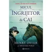 Micul ingrijitor de cai