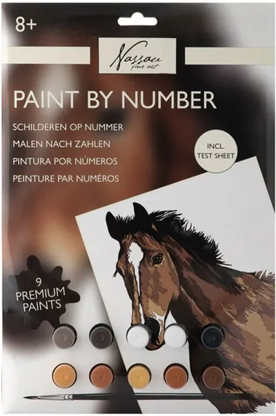 Grafix Paint by Numbers Set - Cal