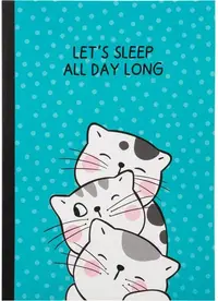 Agenda M&G So Many Cats - B5, 60 pag, sortiment
