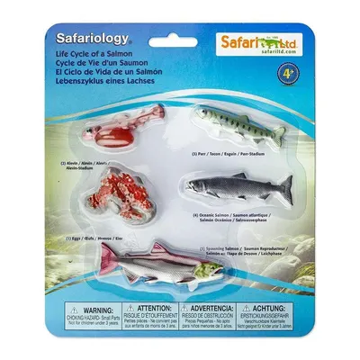 Set figurine - Ciclul vietii la Somon