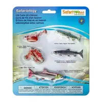 Set figurine - Ciclul vietii la Somon