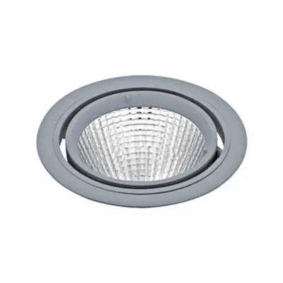 Ferronego IN 111 40W 4000K 3340lm silver IP20 32°