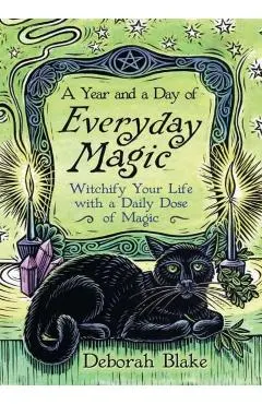 Year and a Day of Everyday Magic