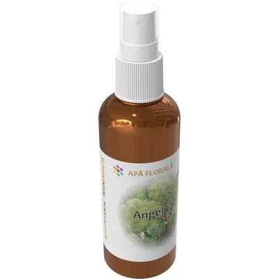 Apa Florala de Angelica 100ml