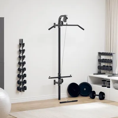 vidaXL Aparat sală de fitness domiciliu, montare pe perete, 2 scripeți