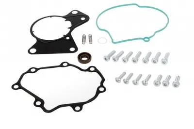 Set reparatie pompa vacuum VW MULTIVAN V, TOUAREG, TRANSPORTER V 2.5D intre 2003-2010