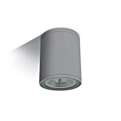 Rolo-CL mediu, E27 PAR30, 75W, IP54, gri