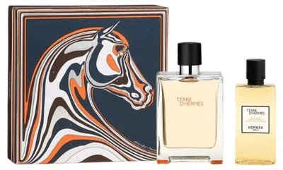 Hermes Terre d'Hermès Set cadou - Apă de toaletă și Gel de duș, 100 + 80 ml