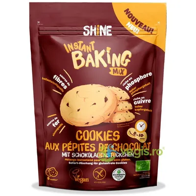 Amestec Instant pentru Cookies cu Bucati de Ciocolata fara Gluten Ecologic/Bio 300g
