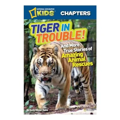Tiger in Trouble!