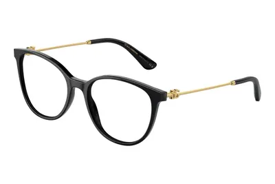 Dolce & Gabbana DG3363 501