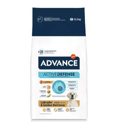 Advance Dog Labrador & Golden Retriever, 11.5 kg
